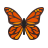 anim_butterfly.png